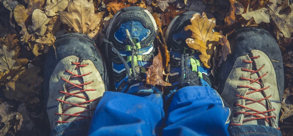 Управление имуществом после смерти в Италии