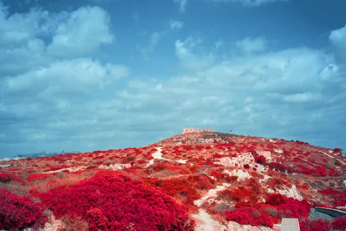 Guide to buying a house in Sardinia